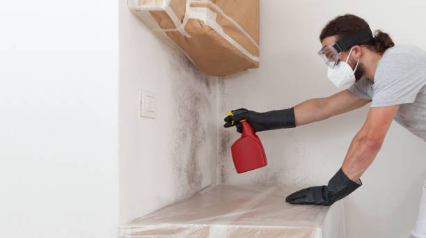 Professional Mold Testing technician working in Burlington, MA