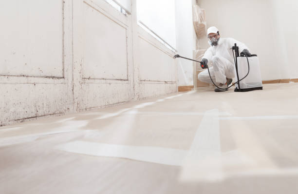 24/7 Emergency Mold Testing experts in Burlington, MA